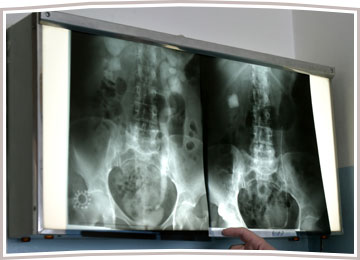 Veterinary Radiographs