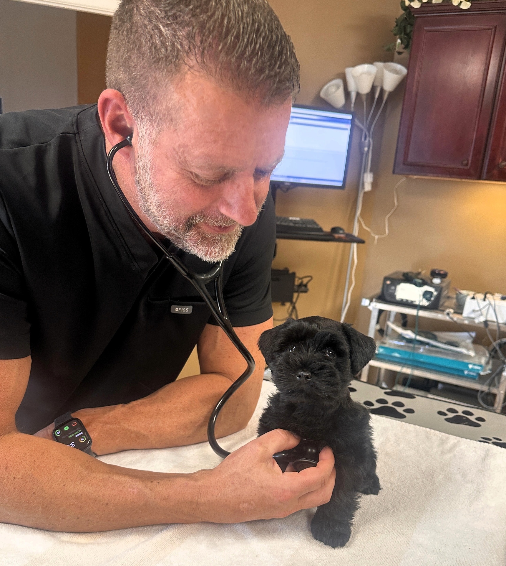 Dr. Pelton examining a puppy
