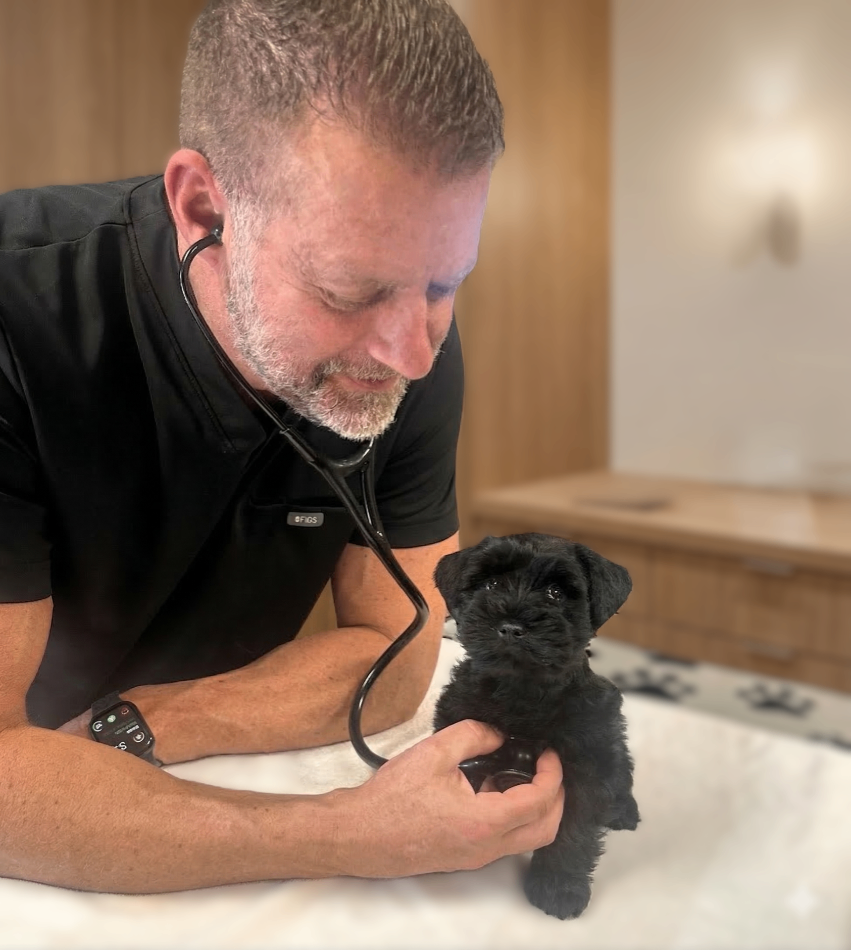 Compassionate veterinary care