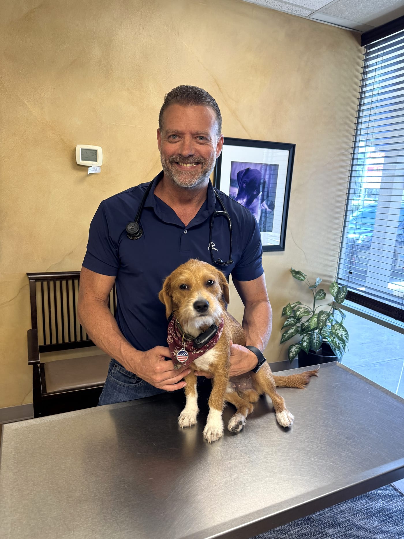 Dr. Pelton holding a rescue pup at Hearthstone Animal Clinic