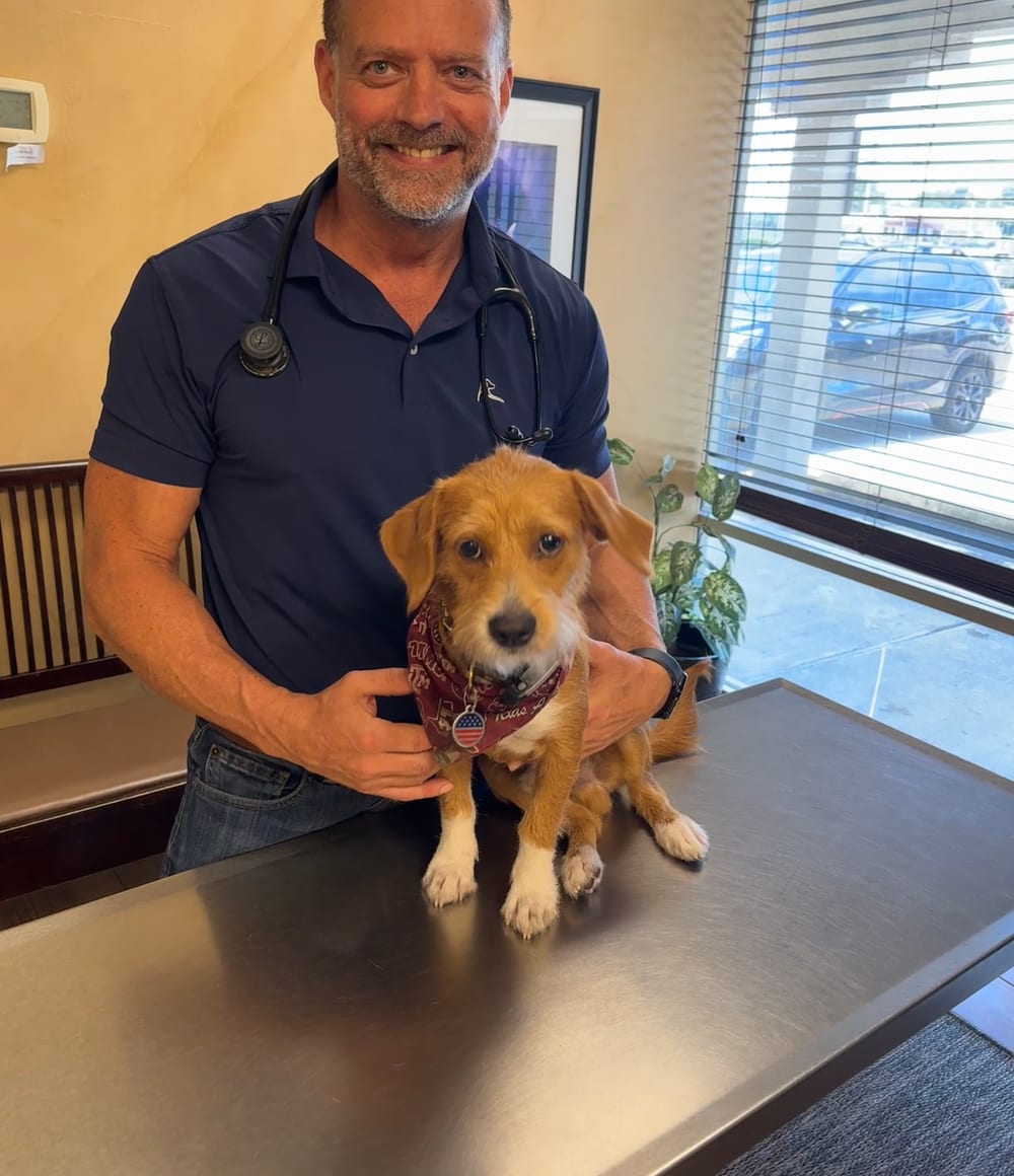 Dr. Pelton holding a rescue pup at Hearthstone Animal Clinic