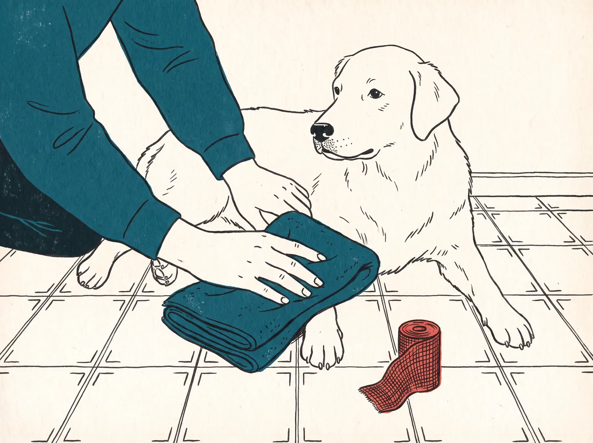 Illustration of a person pressing a folded towel against a lying dog's leg with a roll of gauze nearby