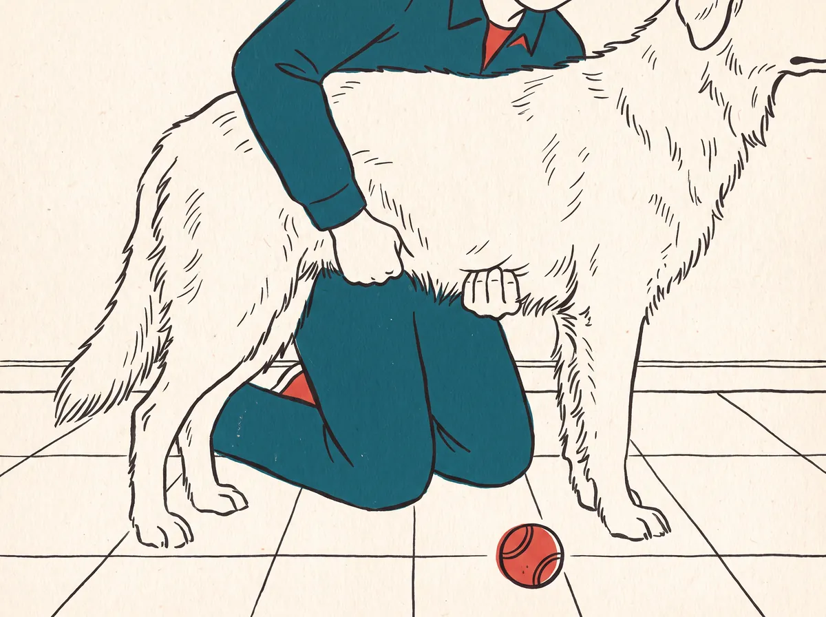 Illustration of a person kneeling beside a standing dog with both fists pressed under its belly just behind the ribs, the Heimlich position