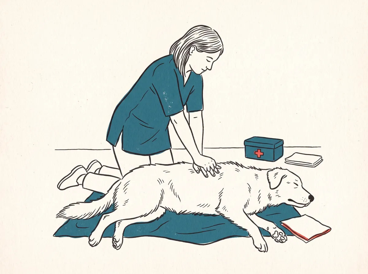 Illustration of a person doing chest compressions on a dog lying on its side, hands stacked over the widest part of the chest with elbows locked