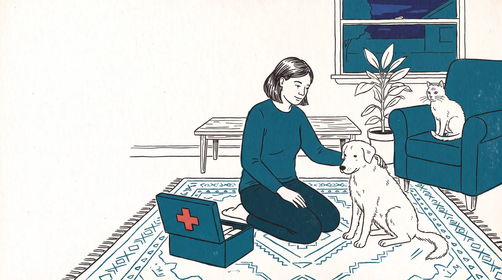Illustration of a pet owner kneeling beside an open first aid kit with a calm dog, while a cat watches from an armchair