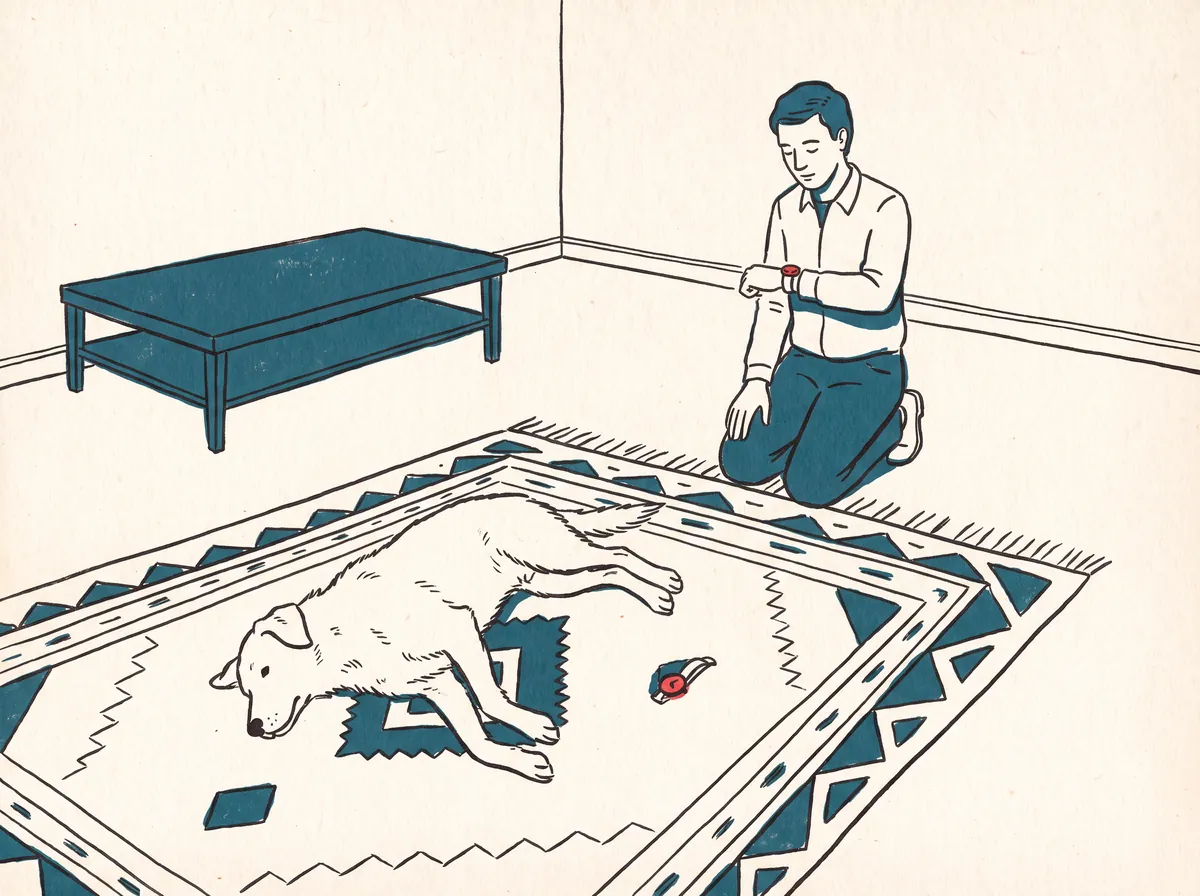 Illustration of a dog lying on its side on a rug while its owner kneels nearby timing the seizure on a wristwatch