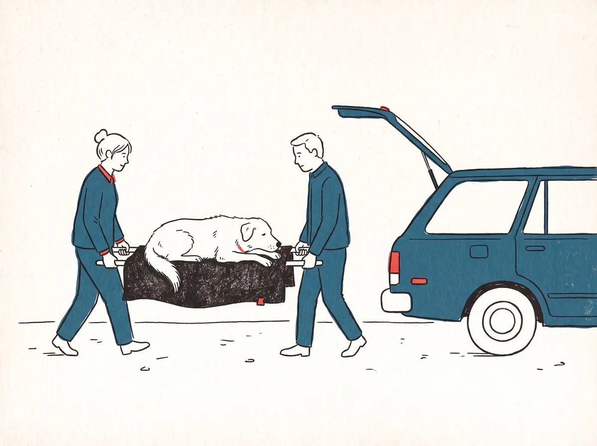 Illustration of two people carrying a large dog on a blanket used as a stretcher toward a car
