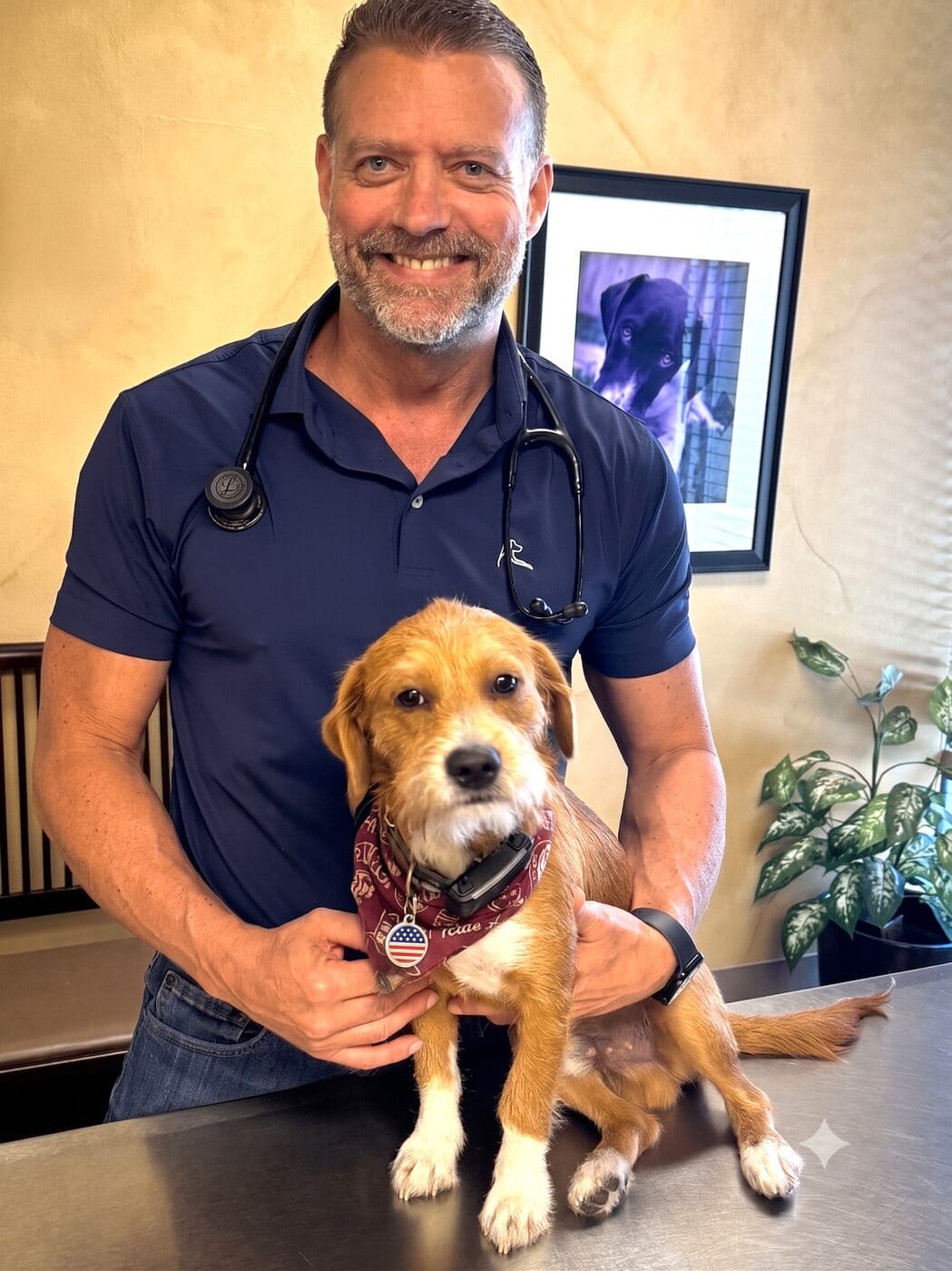 Dr. Pelton holding Copper, a rescue pup, at Hearthstone Animal Clinic