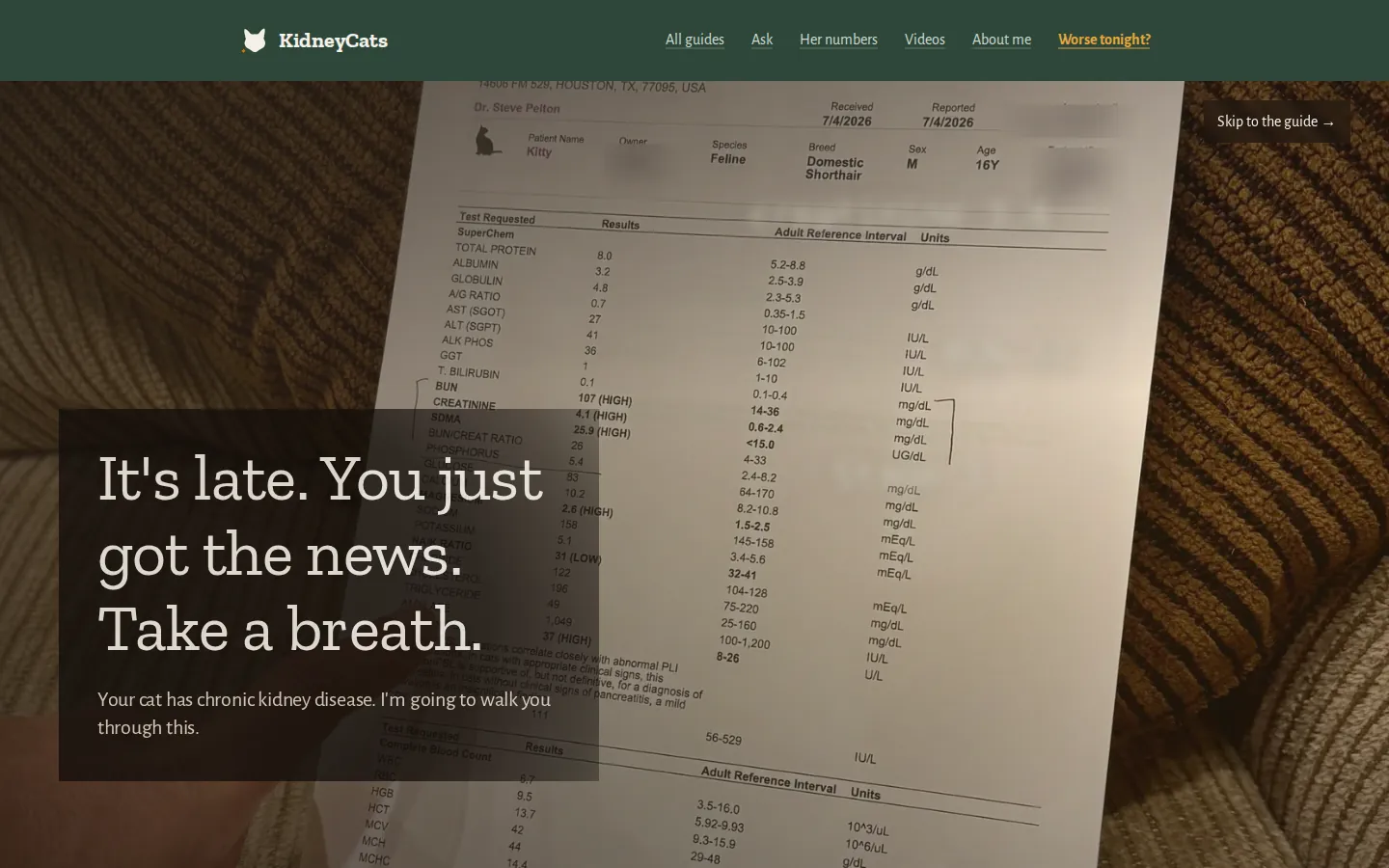 The KidneyCats.org home page: It's late. You just got the news. Take a breath.